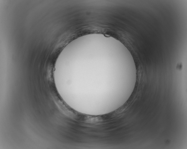 X0000114010185200910021001