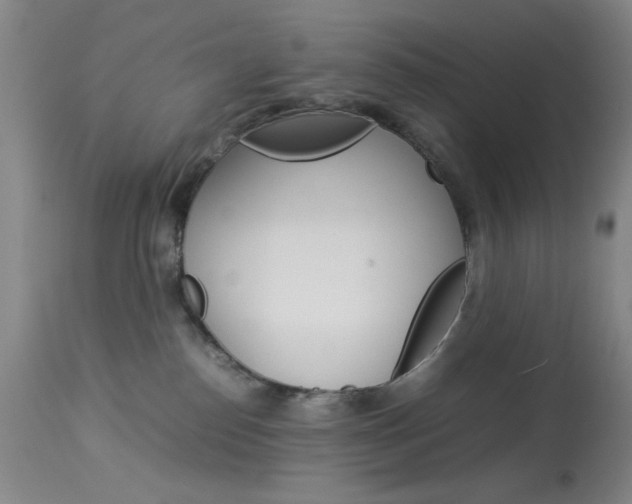 X0000114010186200910021001
