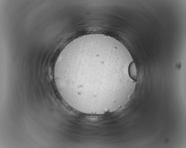 X0000114010187200910021001