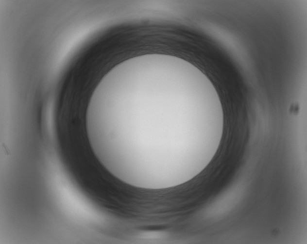 X0000114010189200910021001