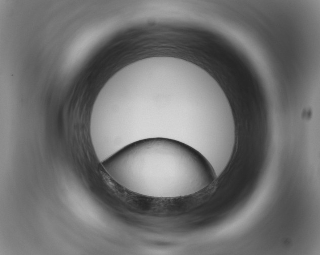 X0000114010190200910021001