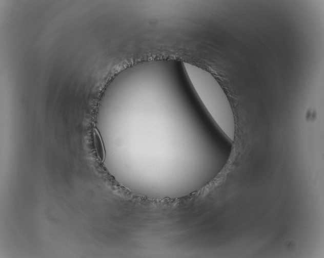 X0000114010192200910021001