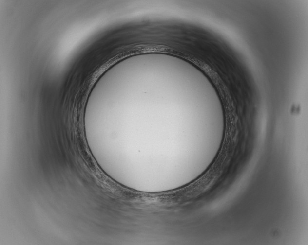 X0000114010194200910021000