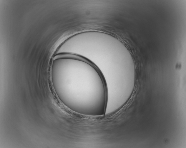 X0000114010195200910021000