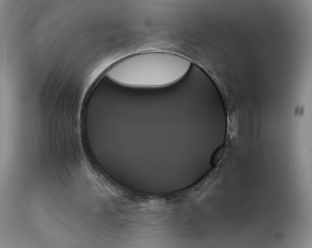 X0000114010196200910021000