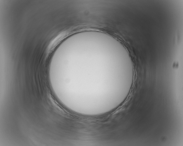 X0000114010197200910021000