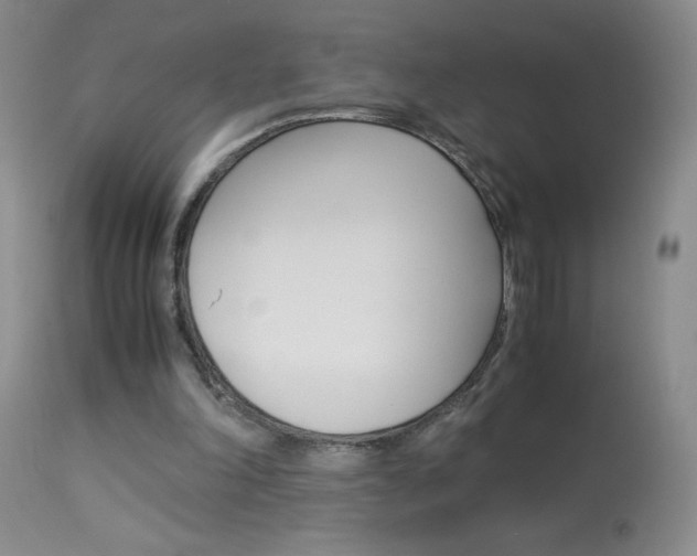 X0000114010198200910021000