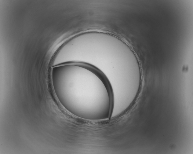 X0000114010199200910021000