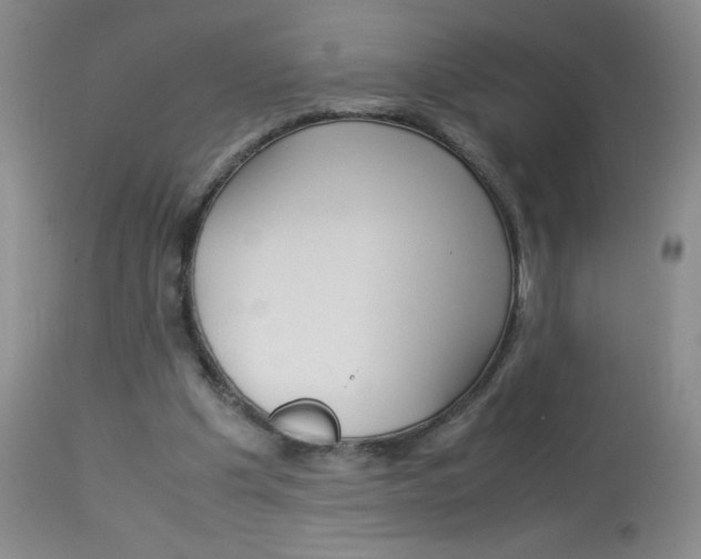 X0000114010201200910021000