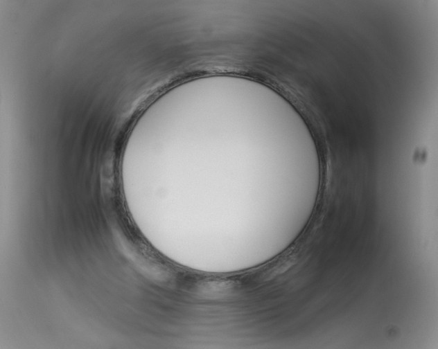 X0000114010202200910021000