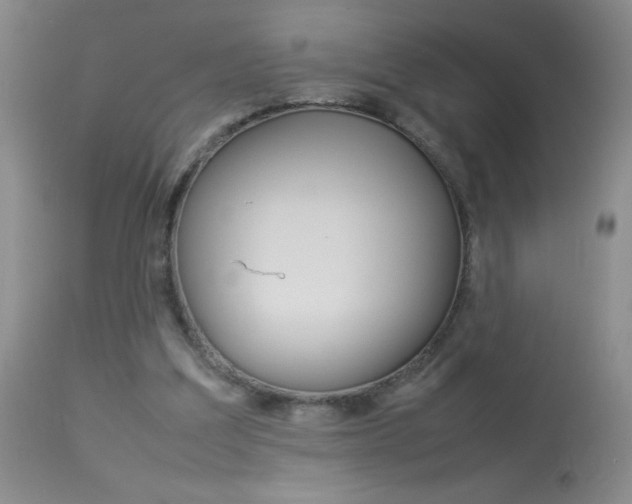 X0000114010203200910021000