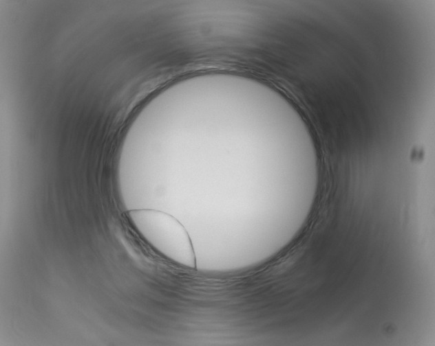 X0000114010205200910021000