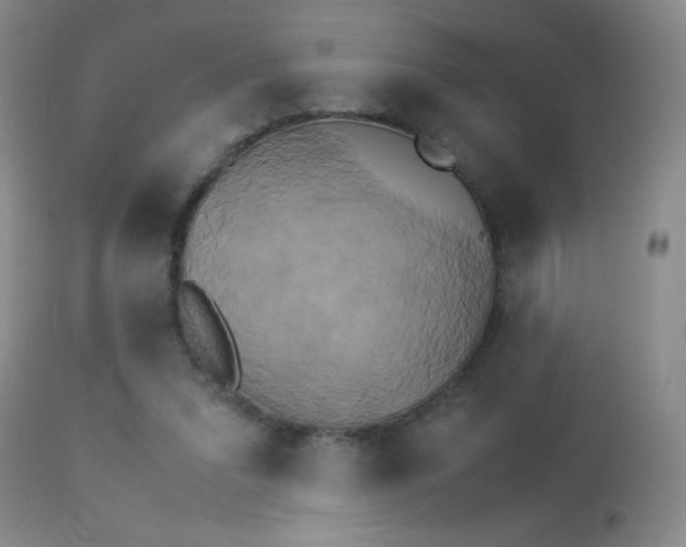 X0000114010207200910021000