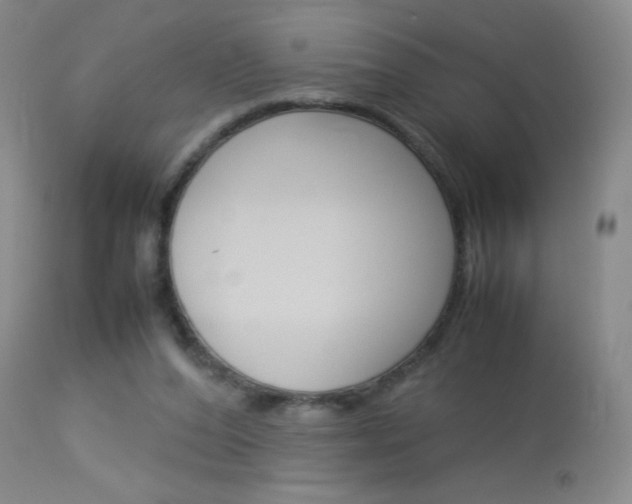 X0000114010208200910021000