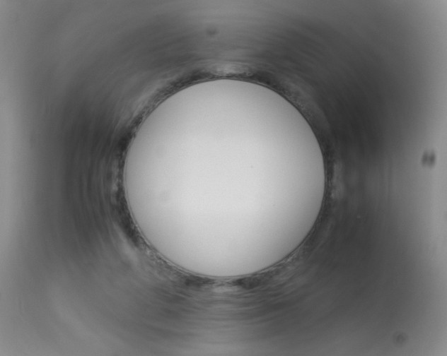 X0000114010210200910021000