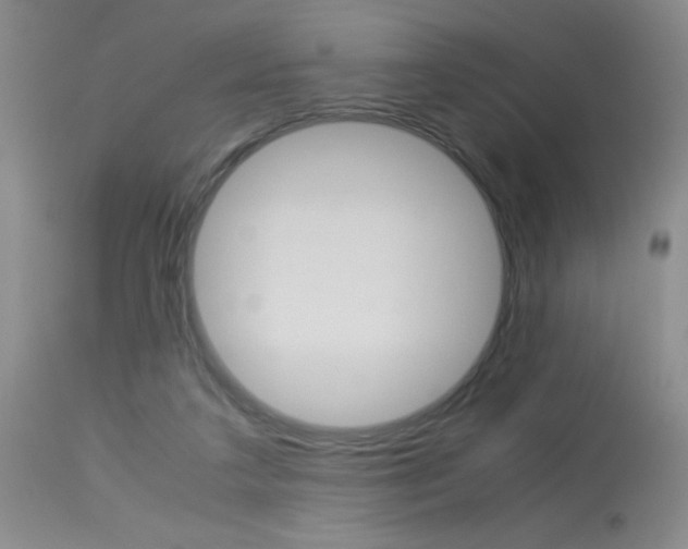 X0000114010211200910021000