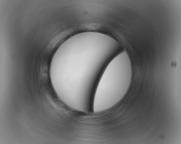 X0000114010212200910021000