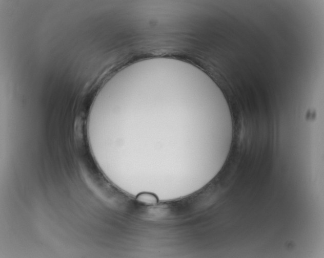 X0000114010214200910021000