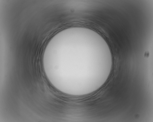 X0000114010217200910021000