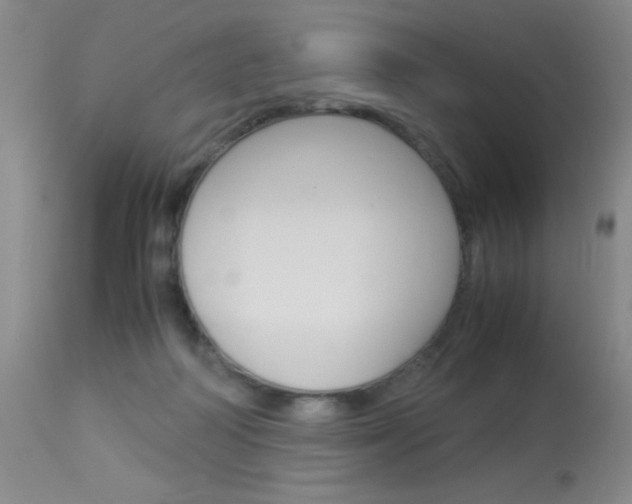 X0000114010218200910021000