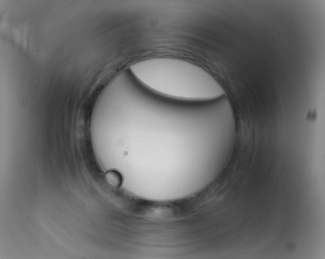 X0000114010220200910021000