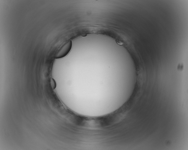 X0000114010221200910021000