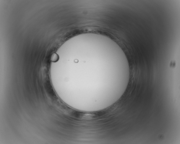 X0000114010222200910021000