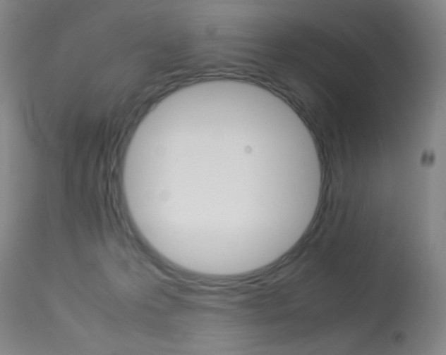 X0000114010223200910021000