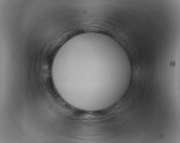 X0000114010224200910021000