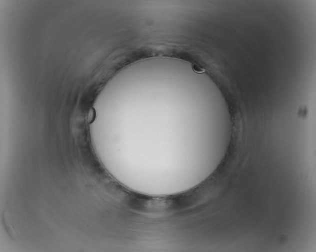 X0000114010225200910021000