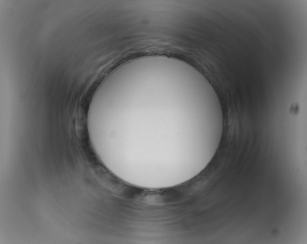X0000114010228200910021000