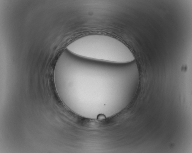 X0000114010229200910021000