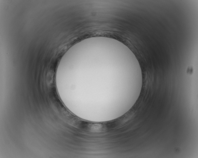 X0000114010230200910021000
