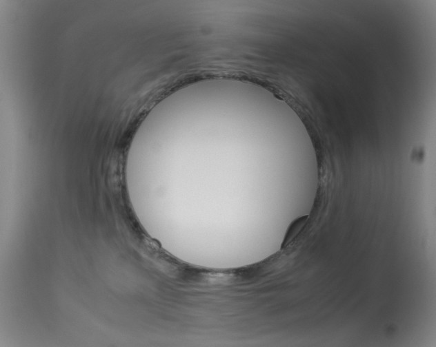 X0000114010233200910021000