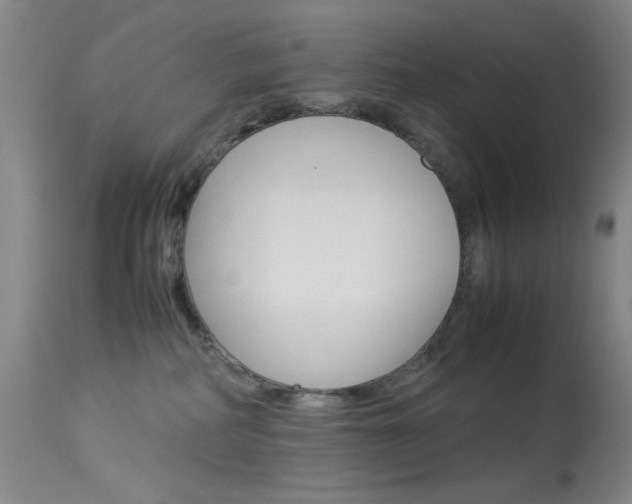 X0000114010234200910021000