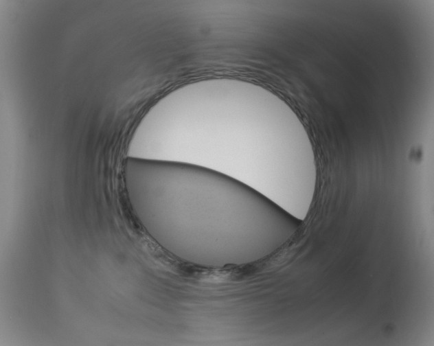 X0000114010235200910021000