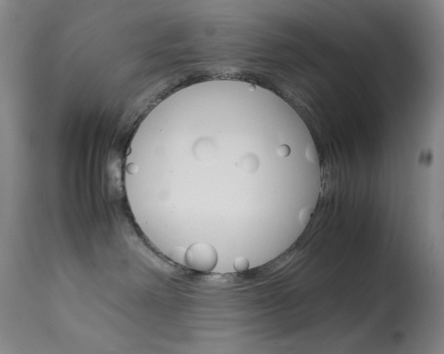 X0000114010238200910021000