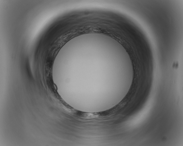 X0000114010239200910021000