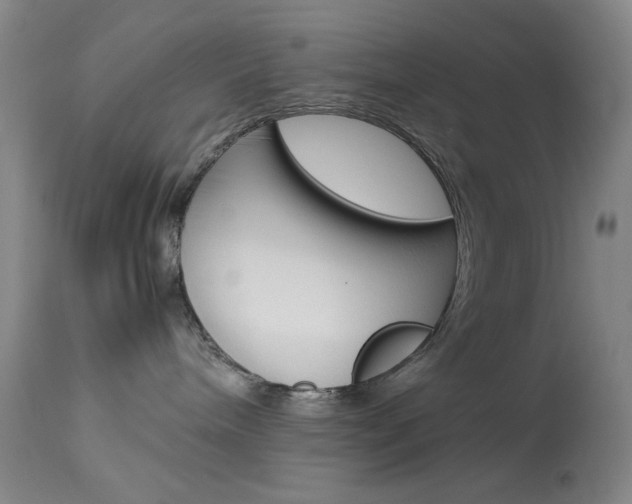 X0000114010240200910021000