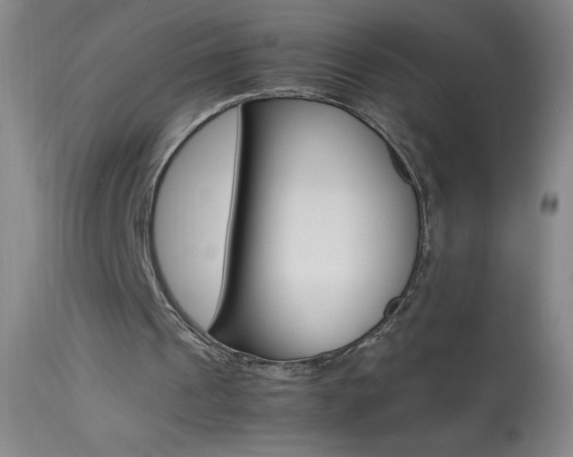 X0000114010241200910020959