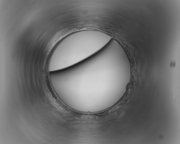 X0000114010242200910020959