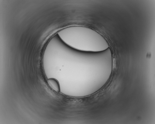 X0000114010243200910020959