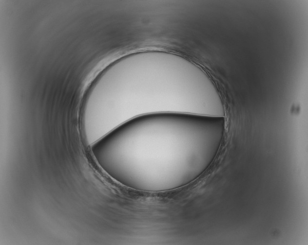 X0000114010244200910020959