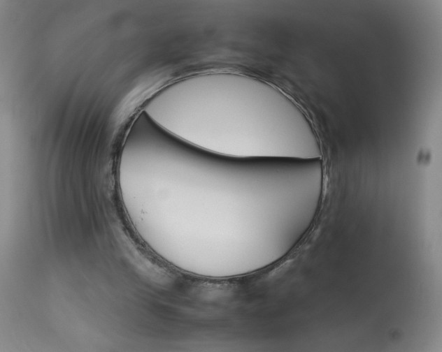 X0000114010245200910020959