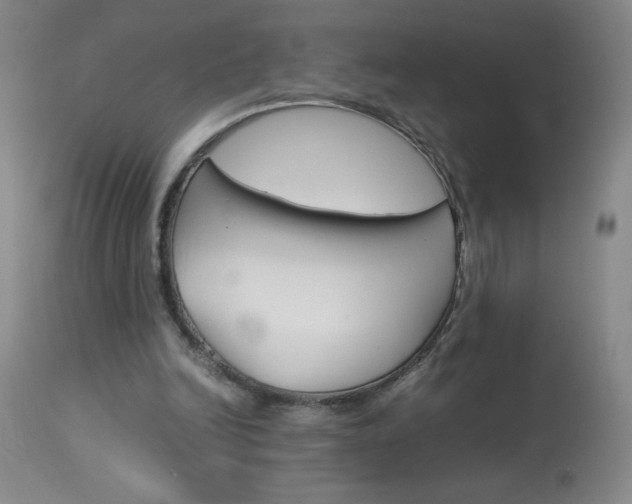 X0000114010246200910020959