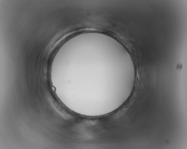 X0000114010247200910020959