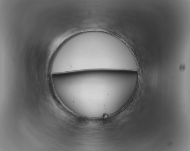 X0000114010248200910020959