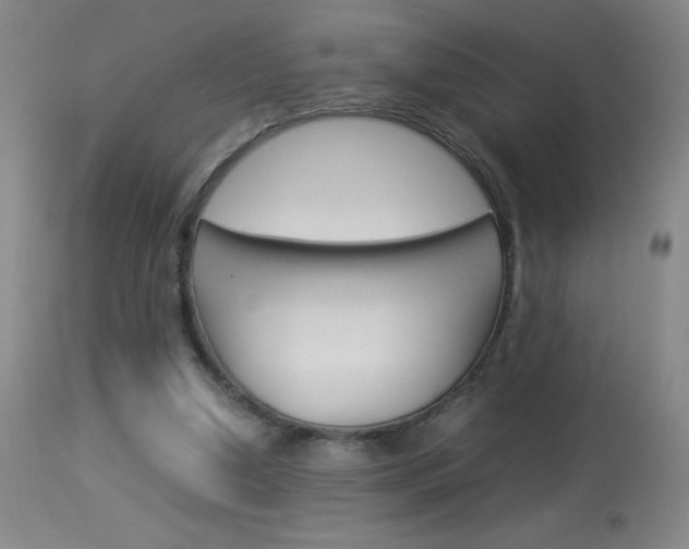 X0000114010250200910020959