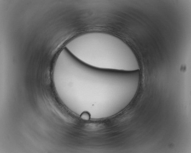 X0000114010251200910020959
