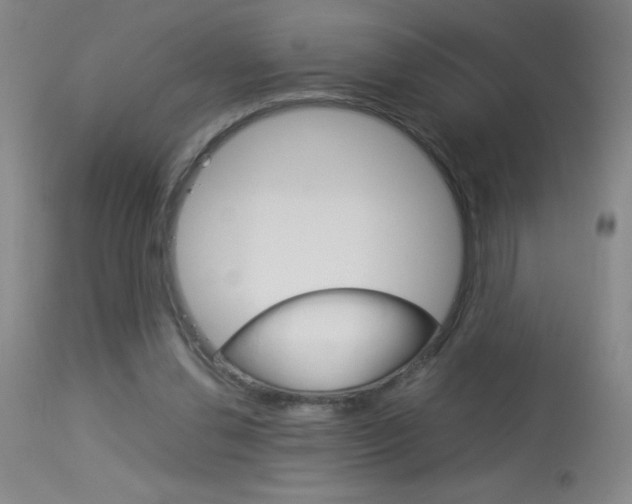 X0000114010252200910020959